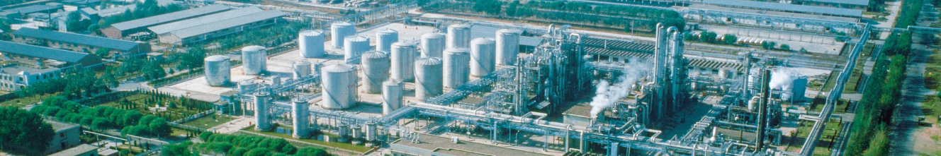 E+H確?；ば袠I(yè)的過程安全